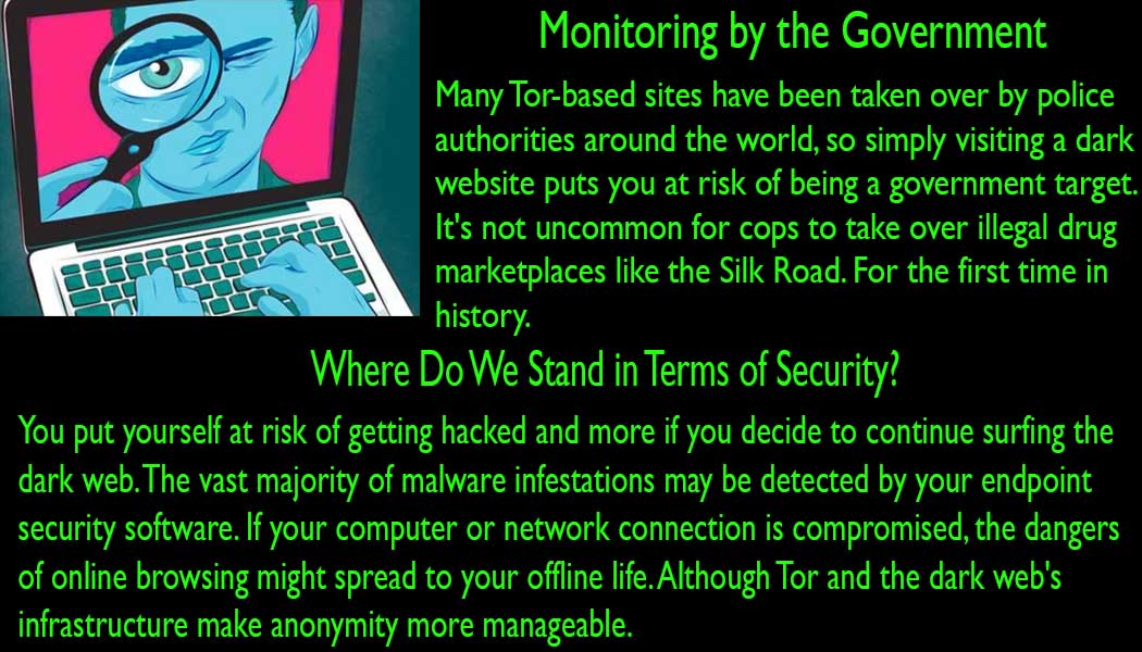 Monitoring by the government