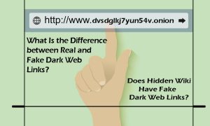 Read more about the article What Is the Difference between Real and Fake Hidden Wiki Links?